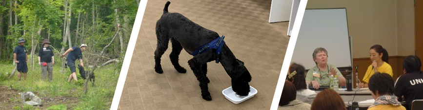 SNIFFER DOG COMPANY(スニッファードッグカンパニー)